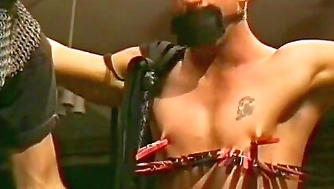 Sexy blonde fucked in whippedass video