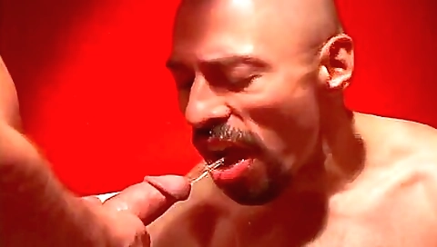Ta mes performerslys for sex